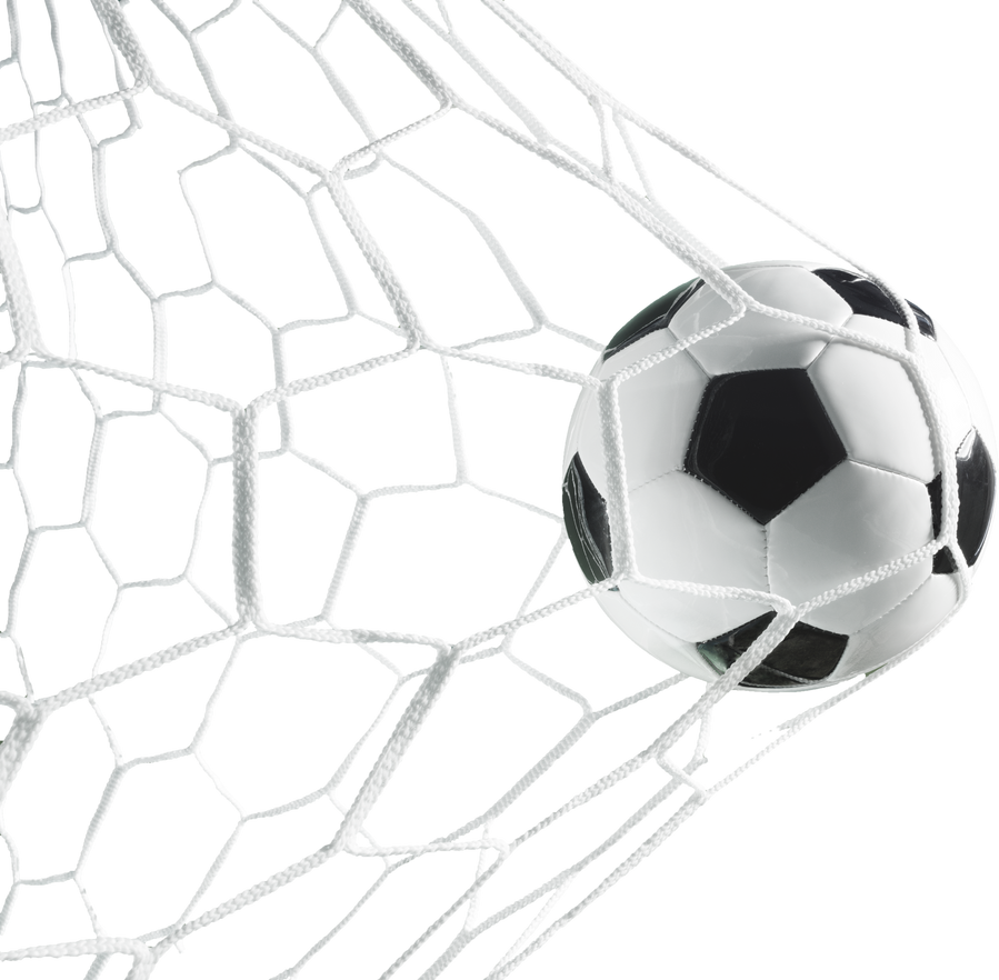 Soccer Ball Hitting the Net